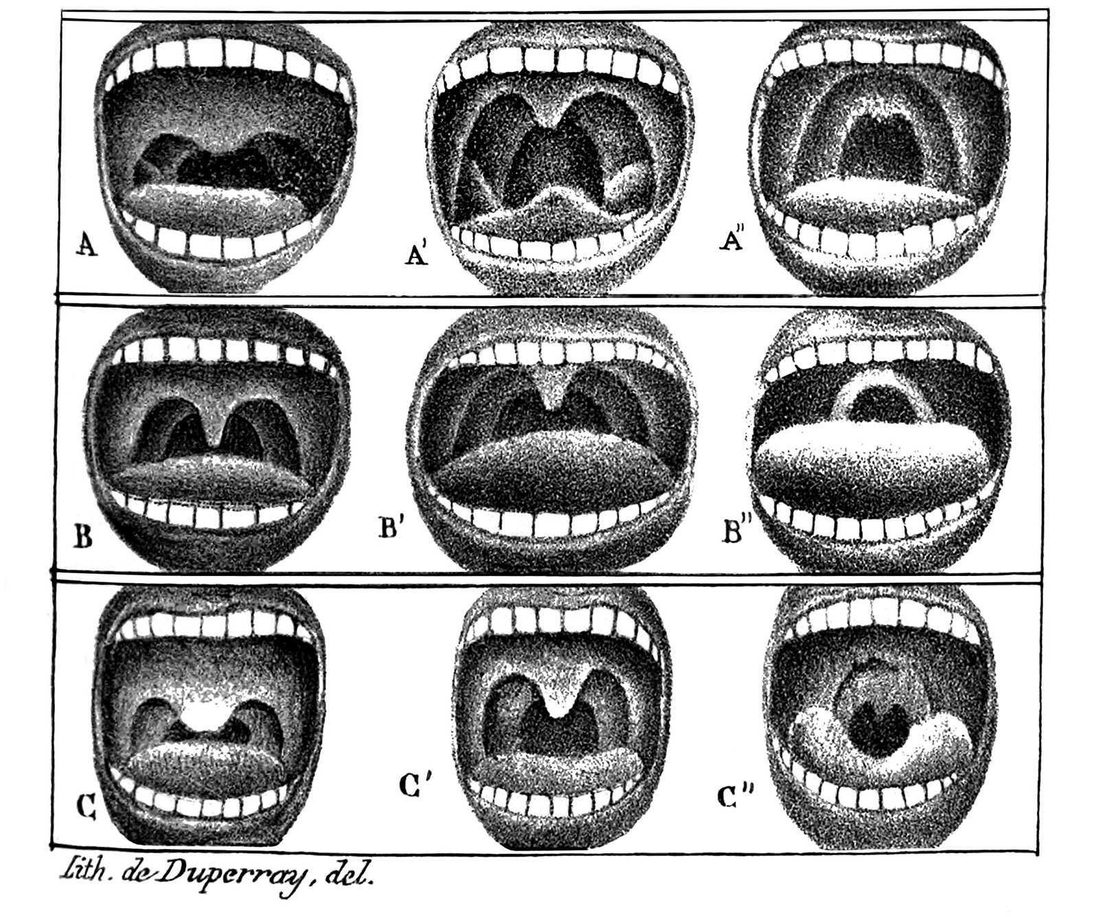 Historical lithograph showing nine views of the mouth cavity of a soprano, a tenor and a baritone at rest, in chest voice, and in voix pharyngienne